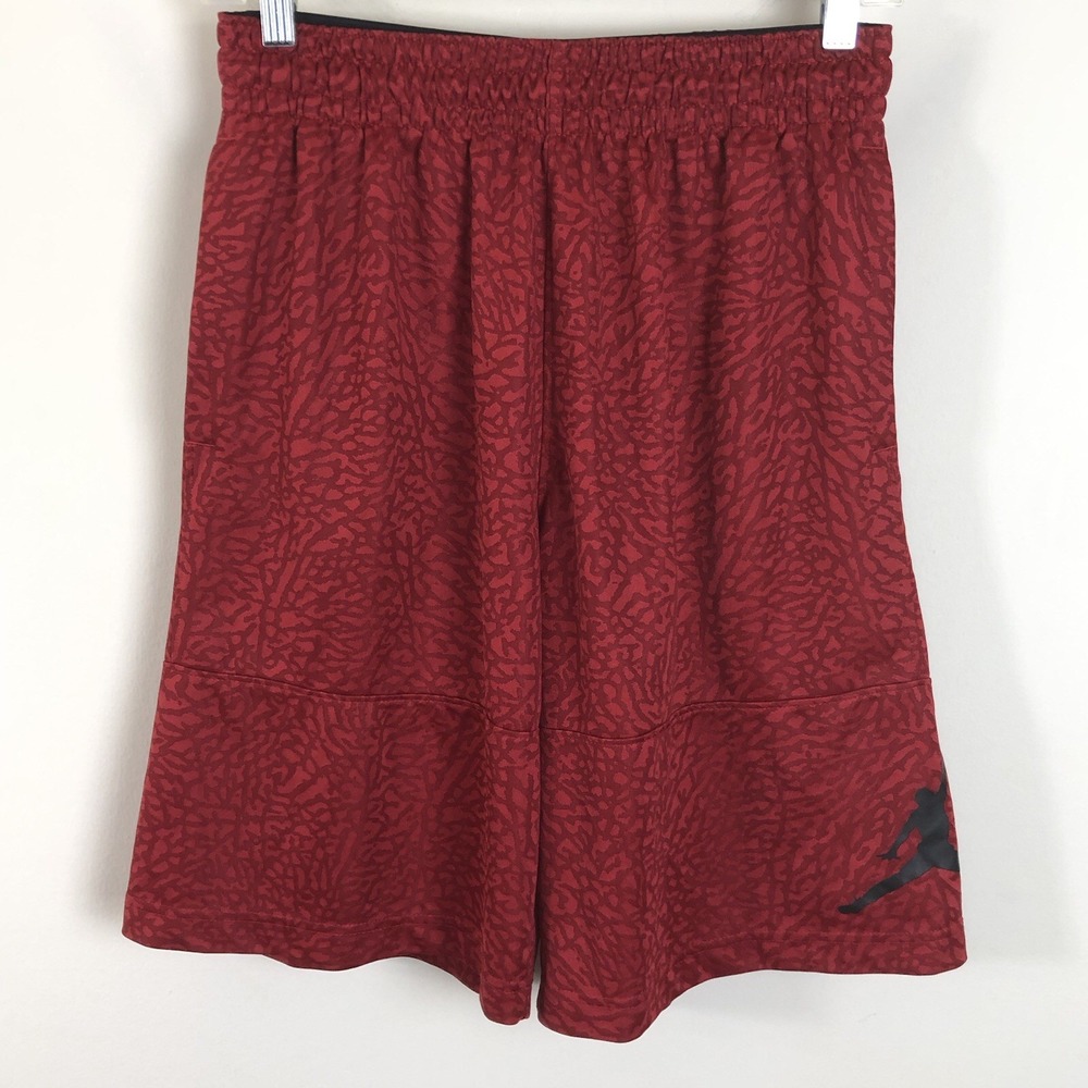 Vintage Nike Dri Fit Air Jordan Elephant Print Shorts Men's M Red Y2K Jumpman